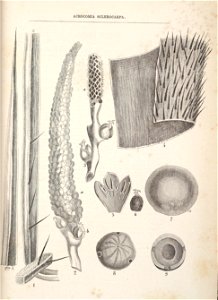 n46_w1150