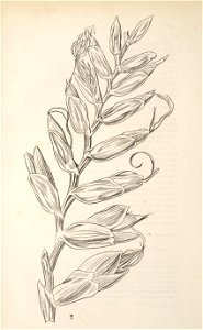 n113_w1150