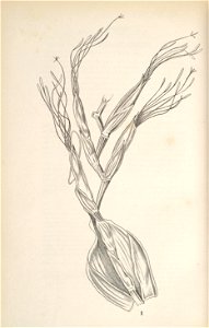 n112_w1150