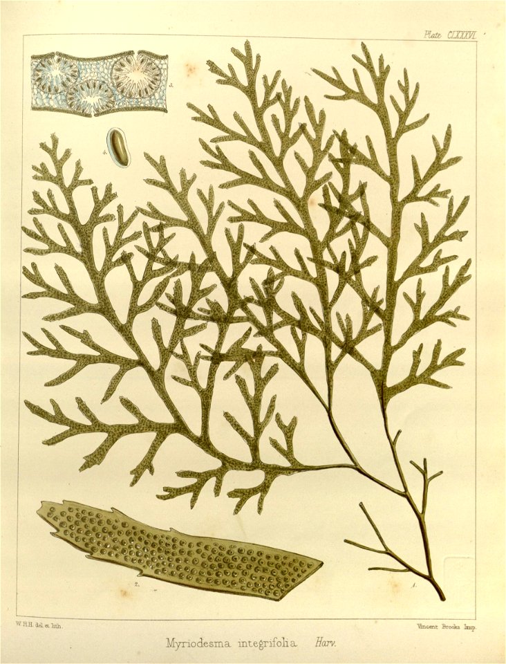 n531_w1150