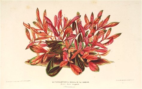 n143_w1150
