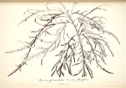 n113_w1150