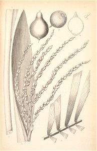 n206_w1150