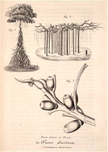 n179_w1150