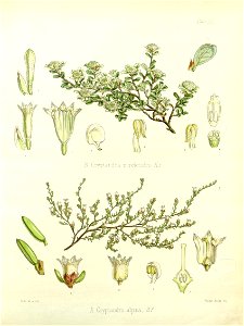 n503_w1150