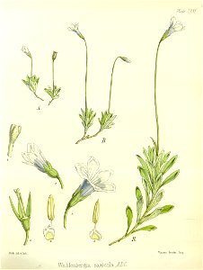 n562_w1150