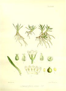 n577_w1150