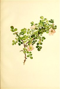 n408_w1150