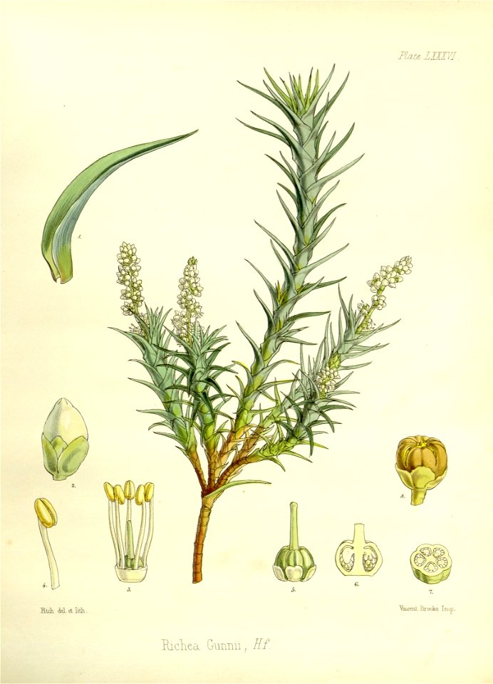 n576_w1150