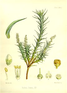 n576_w1150