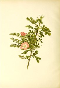 n405_w1150