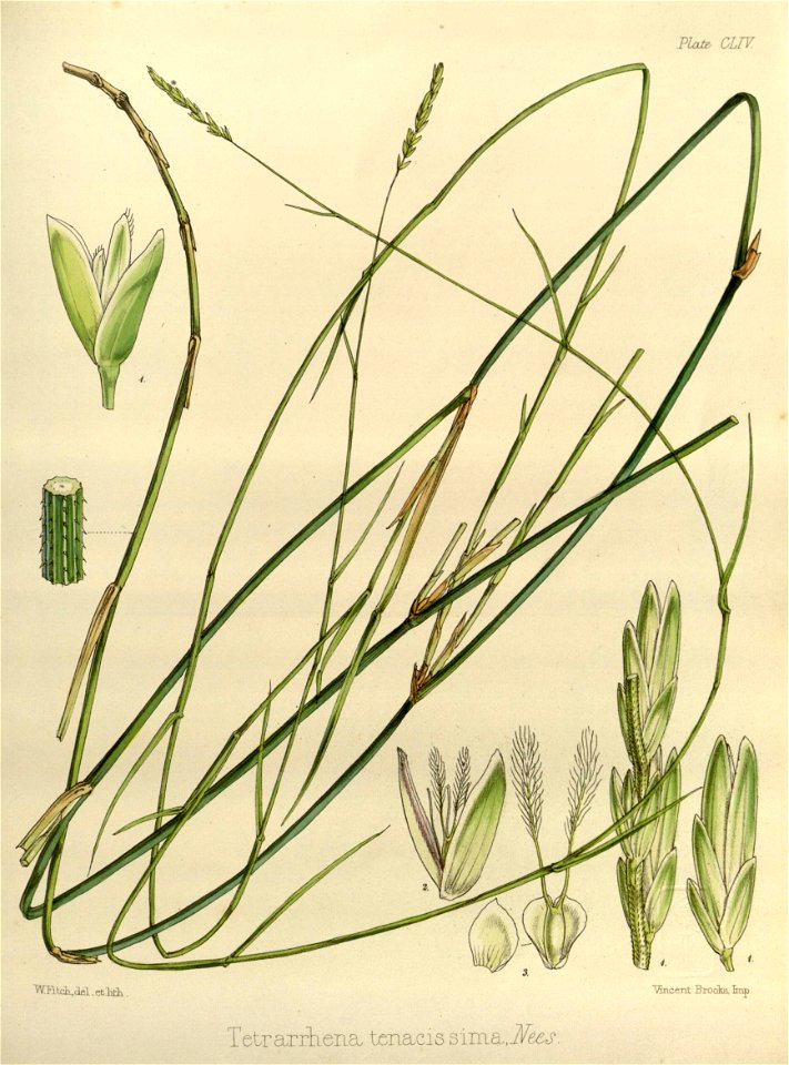 n499_w1150