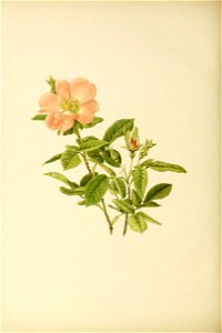 n181_w1150