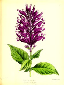 n110_w1150