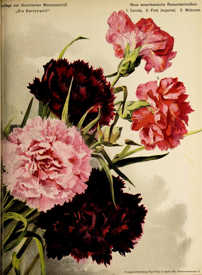 n1088_w1150