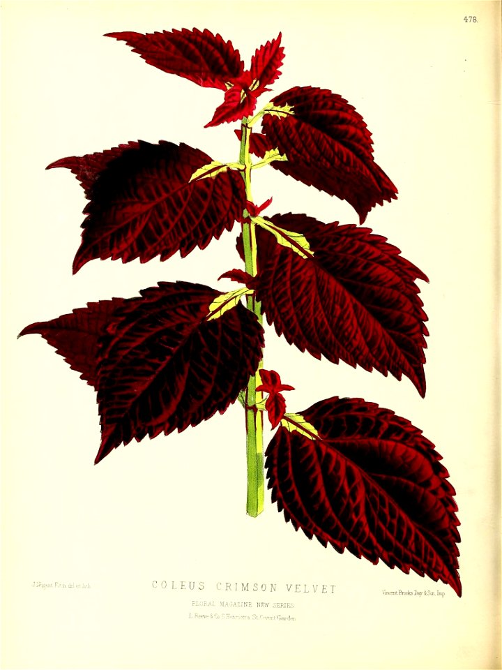 n153_w1150