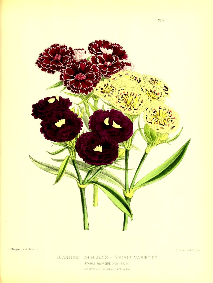 n148_w1150