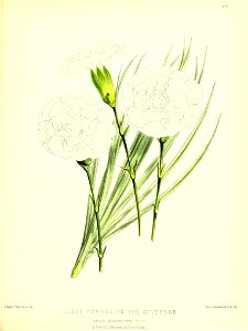n148_w1150