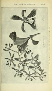 n1148_w1150