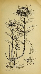 n120_w1150
