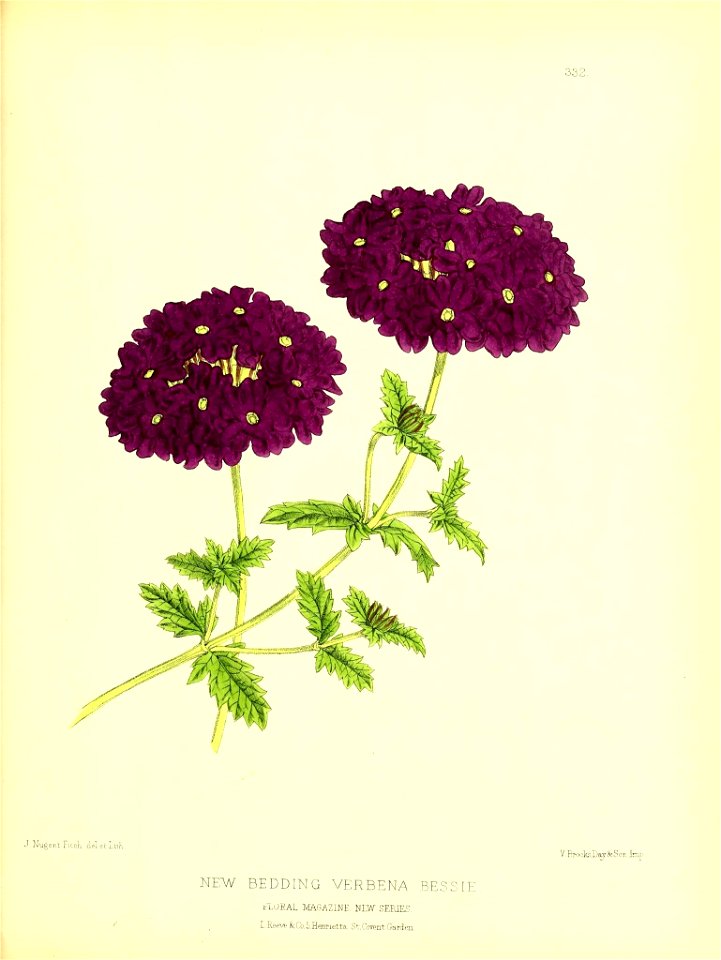 n152_w1150