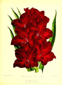 n148_w1150