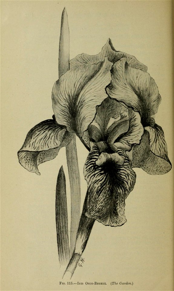 n1253_w1150