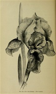 n1253_w1150
