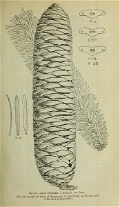n116_w1150