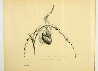 n107_w1150