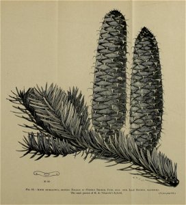 n114_w1150