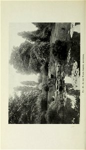 n483_w1150