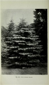n455_w1150