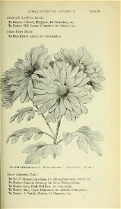n1102_w1150