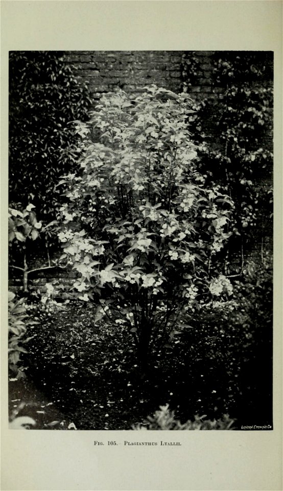 n445_w1150