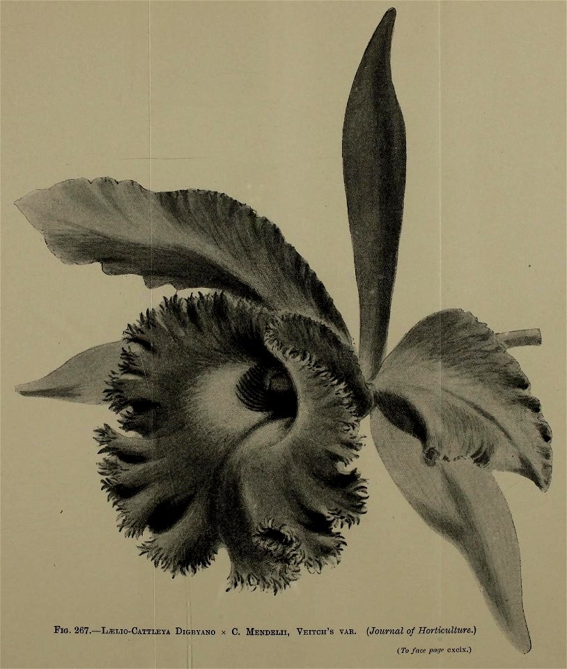 n1215_w1150