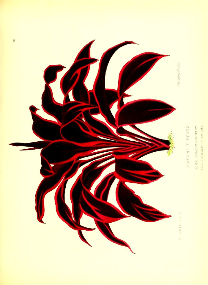 n66_w1150