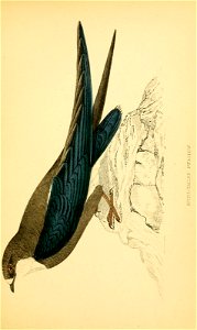 n202_w1150