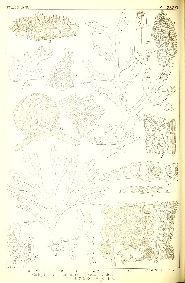 n259_w1150