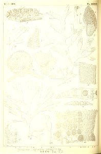 n259_w1150