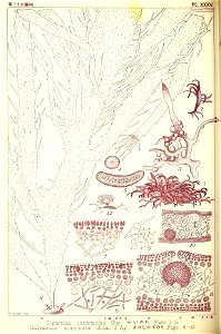 n249_w1150