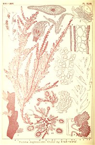 n339_w1150