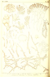 n125_w1150