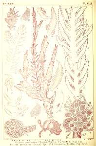 n337_w1150