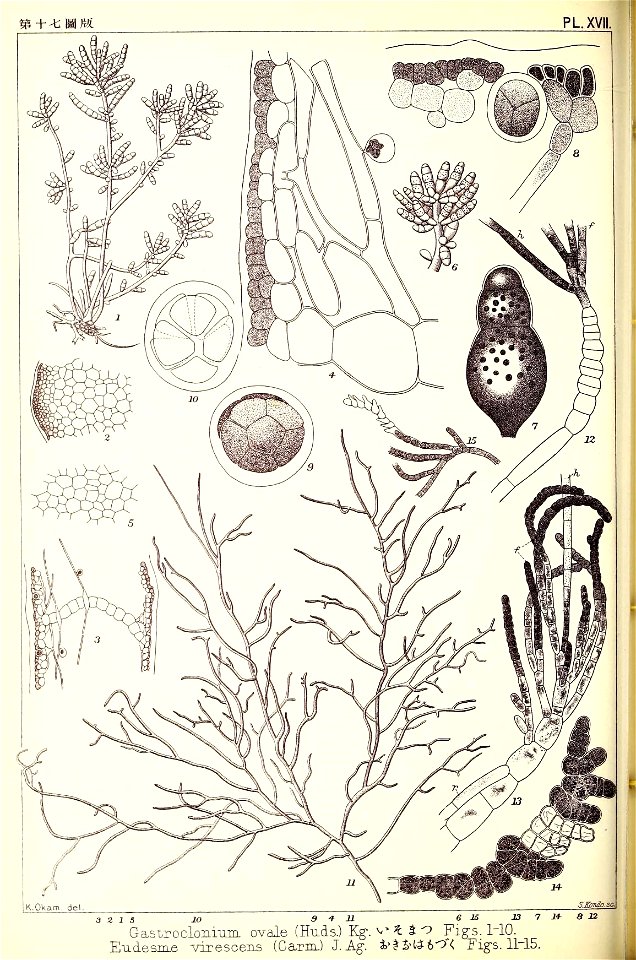 n117_w1150