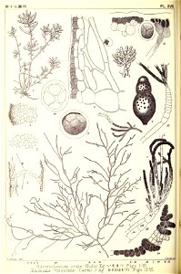 n117_w1150