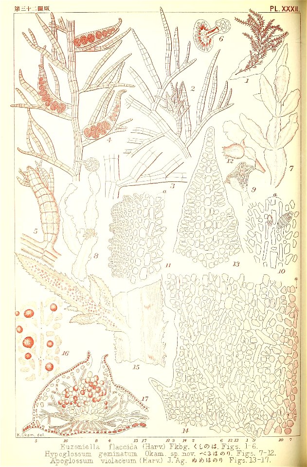 n219_w1150