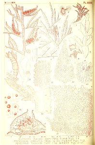 n219_w1150