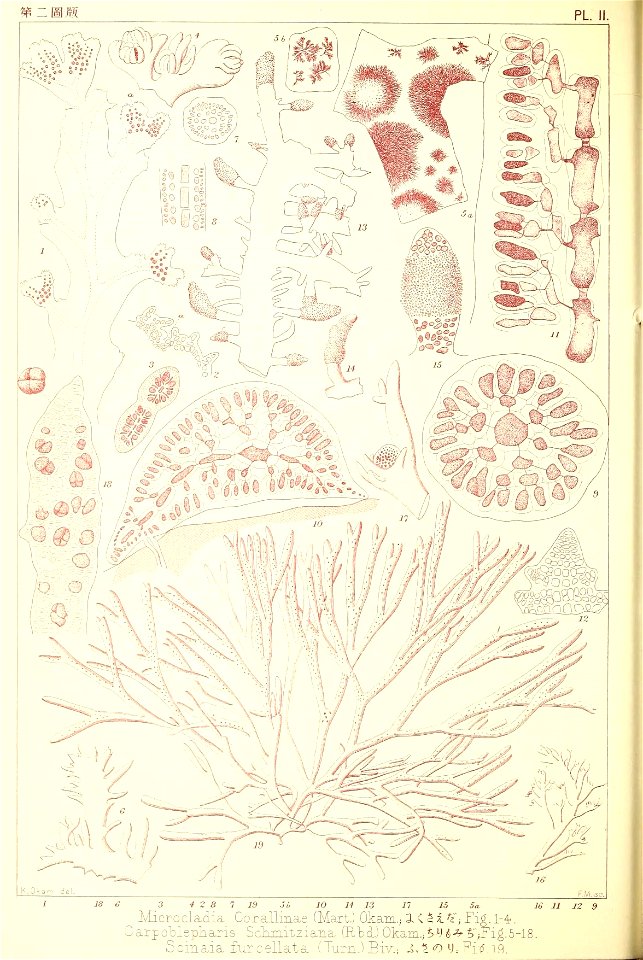 n15_w1150
