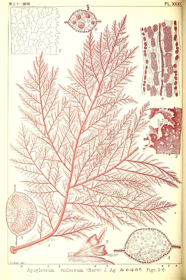 n217_w1150